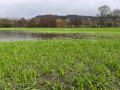 January to February 2026 - Yorkshire and Derbyshire (from Various 2026) - added 02 July 2026 at 22:19